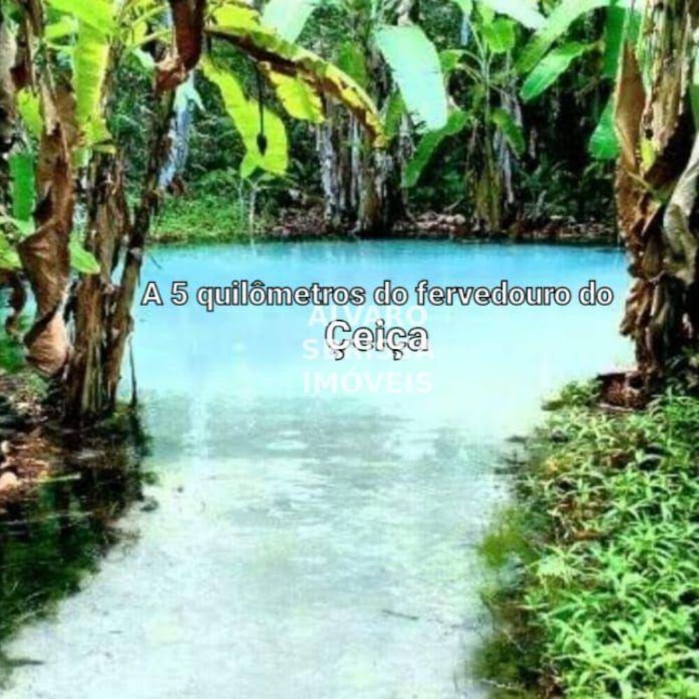 Pousada-Chalé, 2500 m² - Foto 4