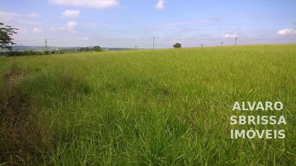 Terreno, 12 hectares - Foto 8