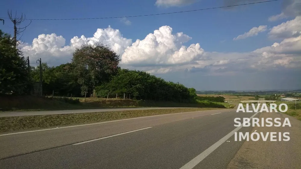 Terreno, 12 hectares - Foto 7