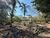Terreno, 450 m² - Foto 1