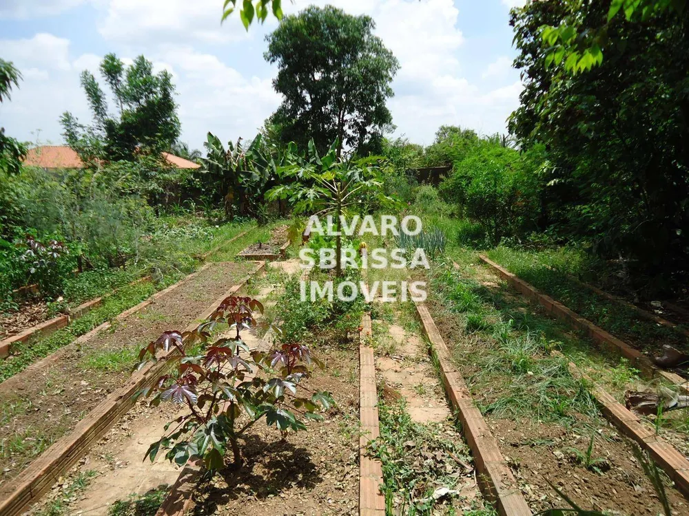 Chácara, 3 quartos, 1 hectares - Foto 12