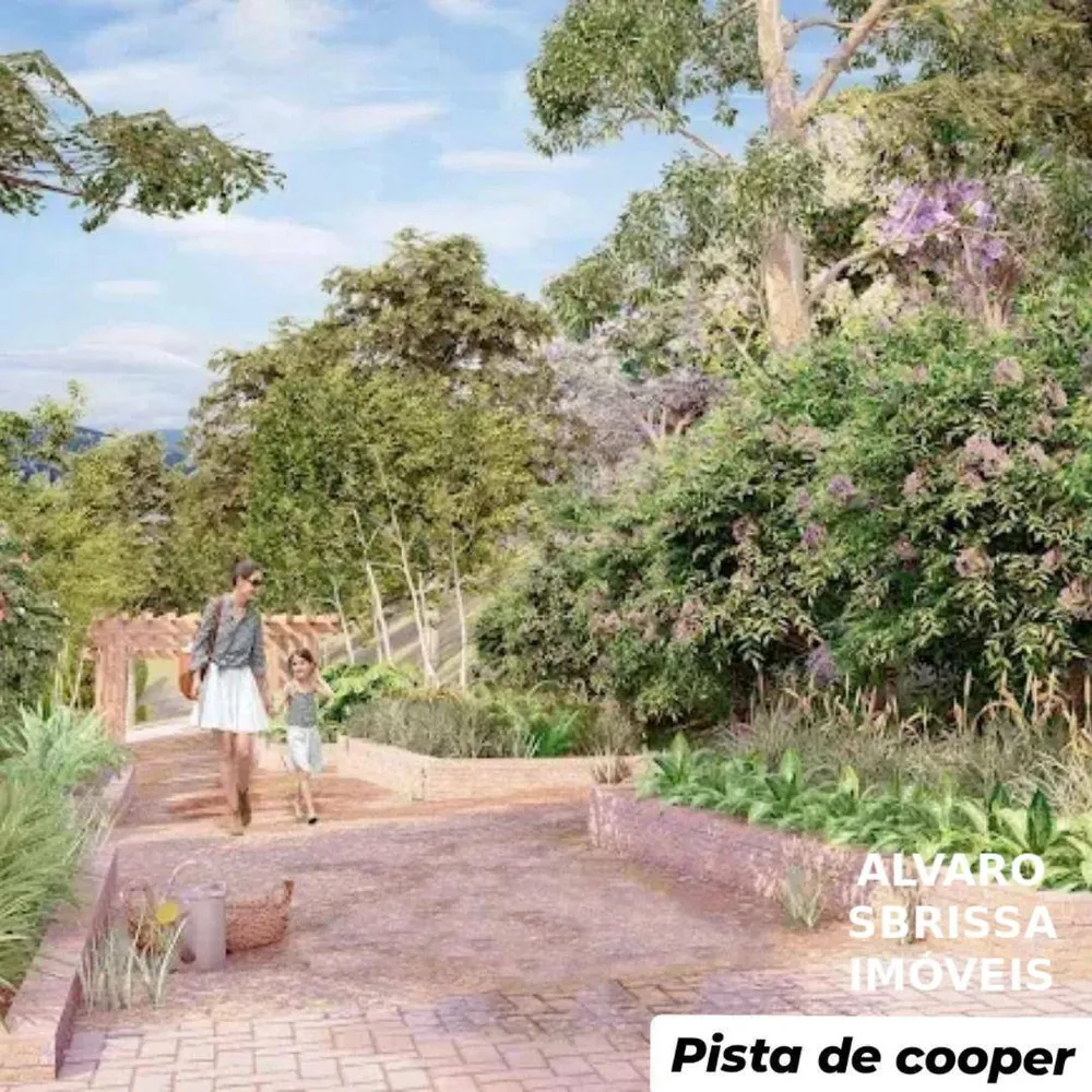 Terreno, 250 m² - Foto 3