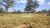 Fazenda-Sítio-Chácara, 12 hectares - Foto 1