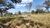 Fazenda-Sítio-Chácara, 12 hectares - Foto 4