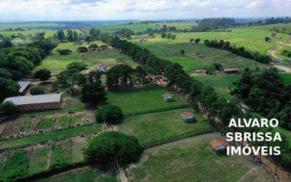 Fazenda, 81 hectares - Foto 7
