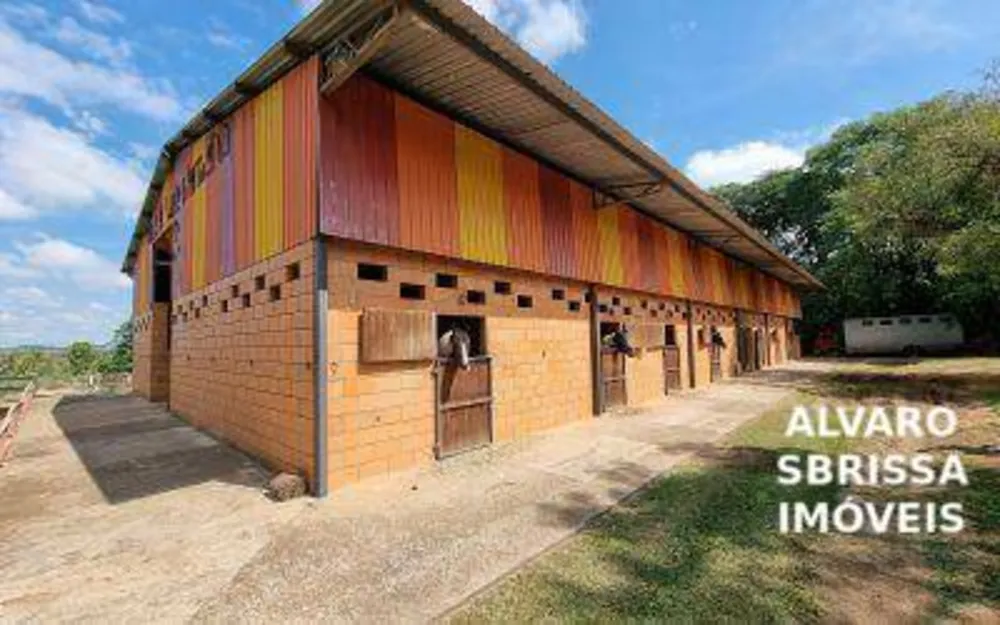 Fazenda, 81 hectares - Foto 8