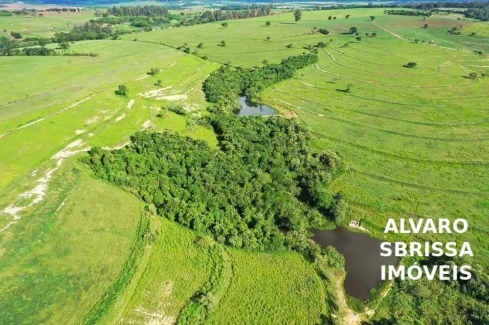 Fazenda, 81 hectares - Foto 4