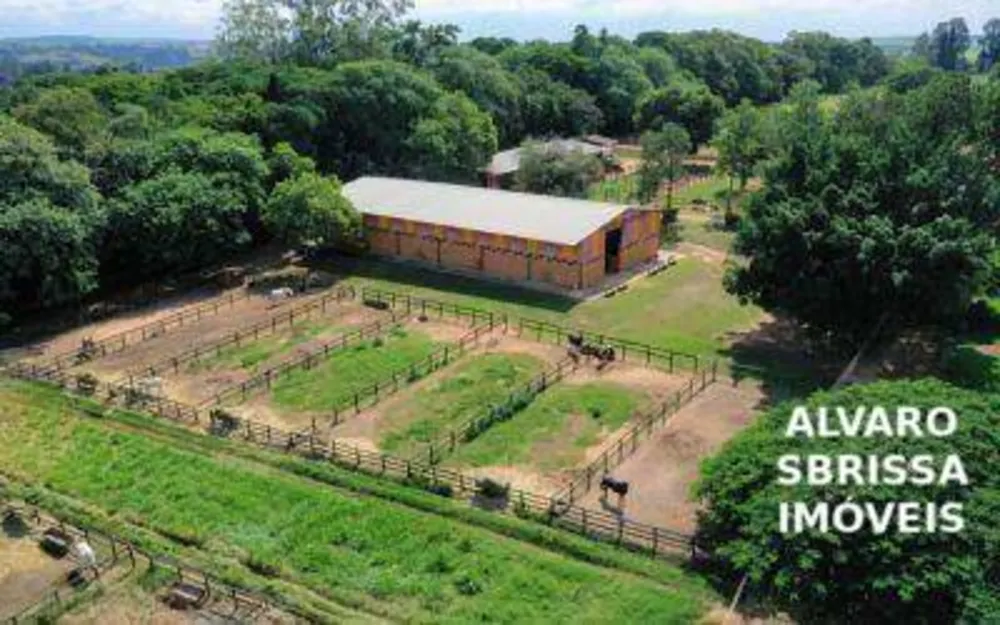 Fazenda, 81 hectares - Foto 1