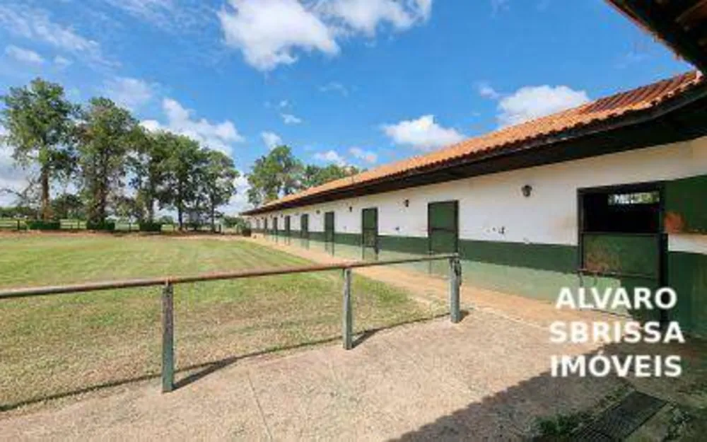 Fazenda, 81 hectares - Foto 6
