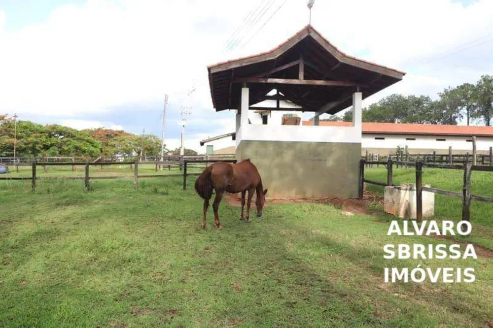 Fazenda, 81 hectares - Foto 7