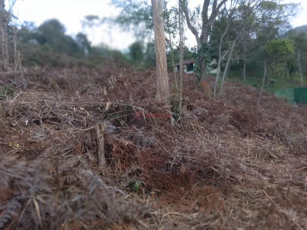 Terreno à venda, 2300m² - Foto 4