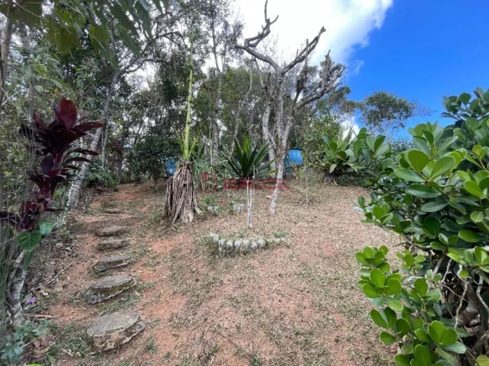 Casa, 3 quartos, 250 m² - Foto 34