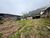 Loteamento e Condomínio, 1000 m² - Foto 2