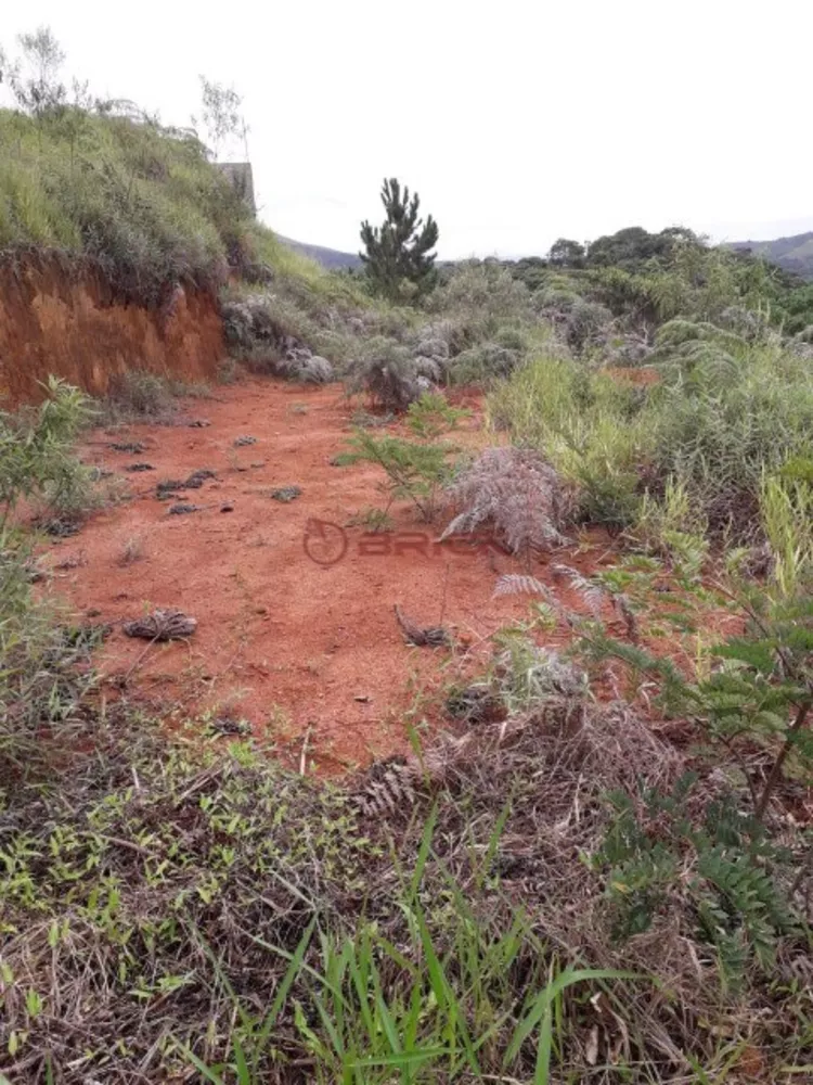 Terreno à venda, 600m² - Foto 3