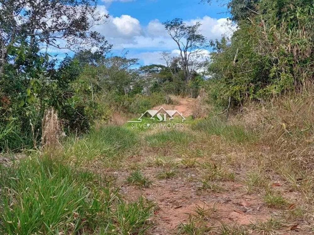 Terreno, 5 hectares - Foto 3