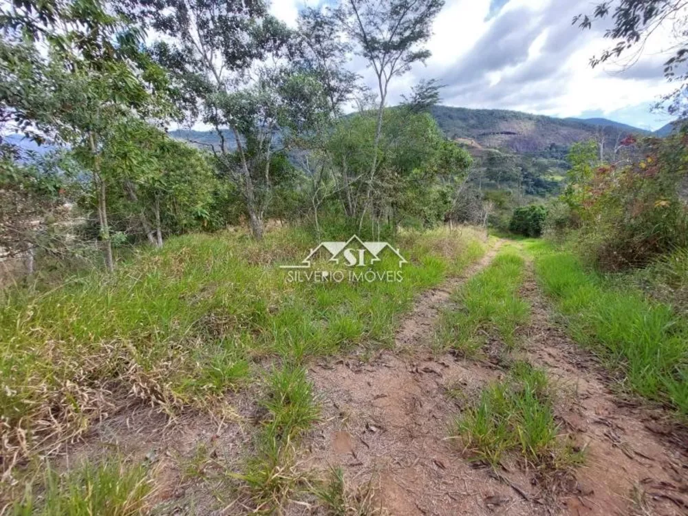 Terreno, 5 hectares - Foto 4