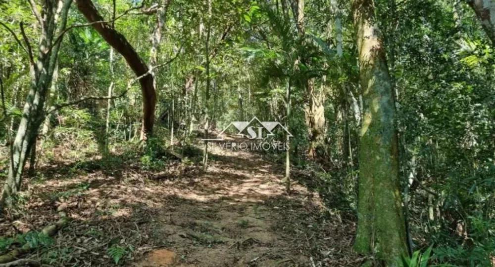 Sítio, 3 quartos, 17 hectares - Foto 12
