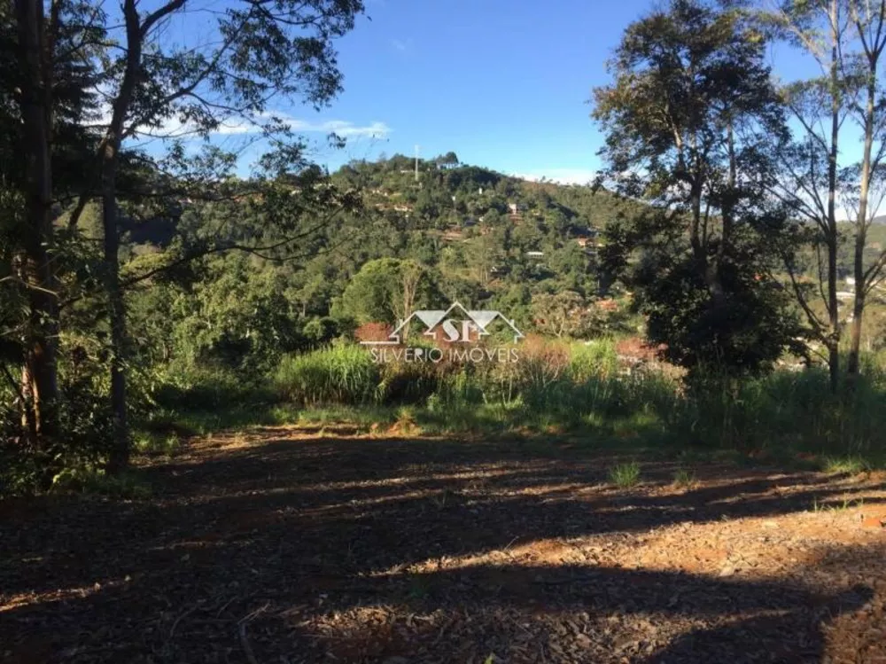 Terreno, 6264 m² - Foto 7