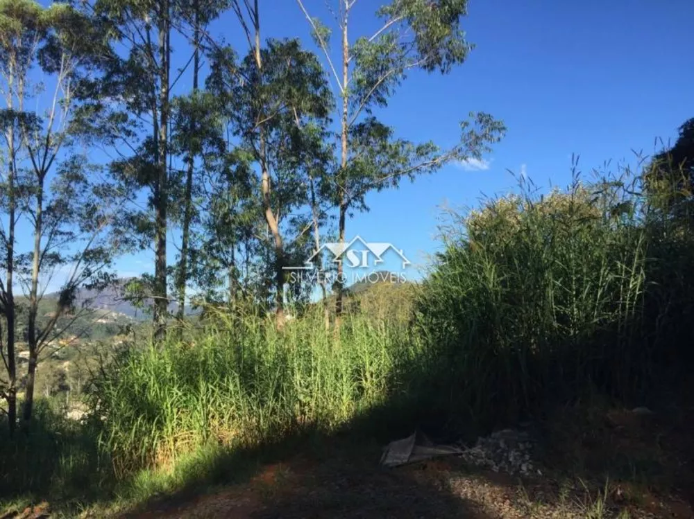 Terreno, 6264 m² - Foto 8