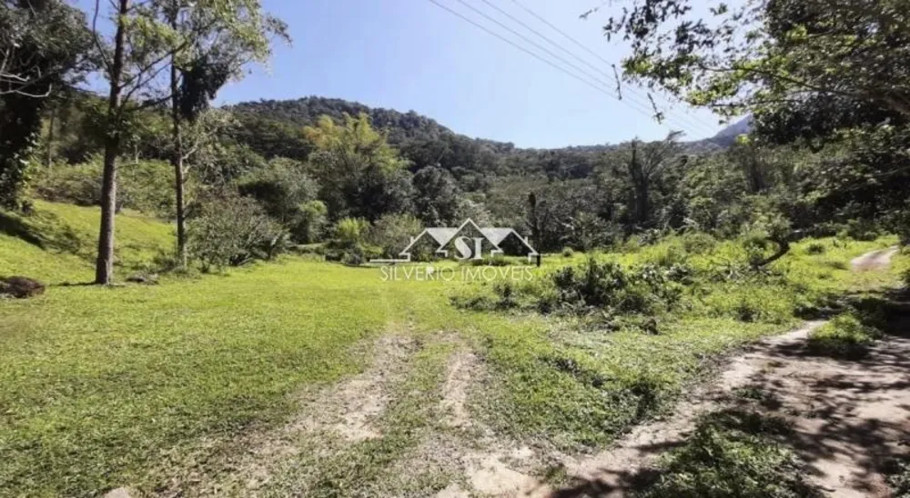 Fazenda, 43 hectares - Foto 8