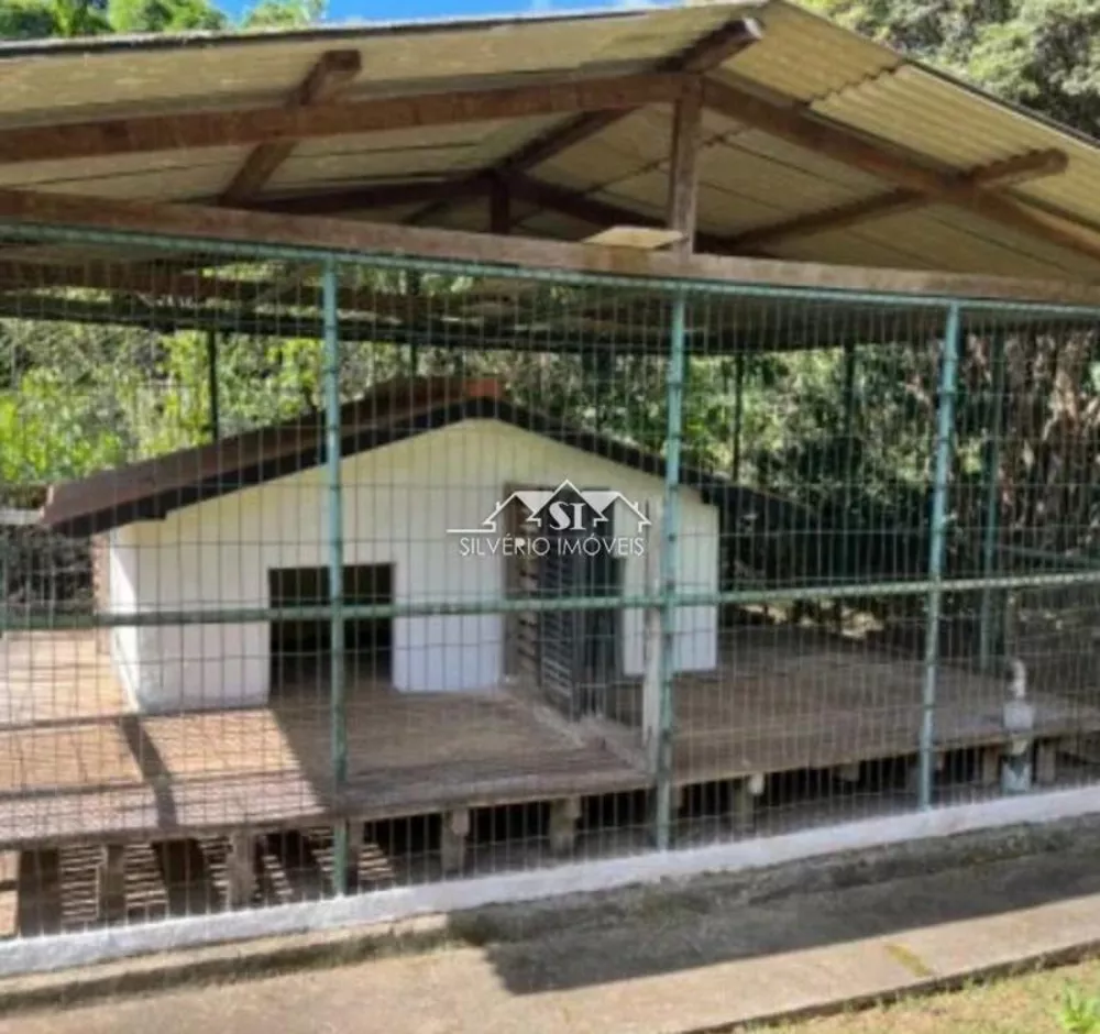 Chácara, 5 quartos, 5100 m² - Foto 4