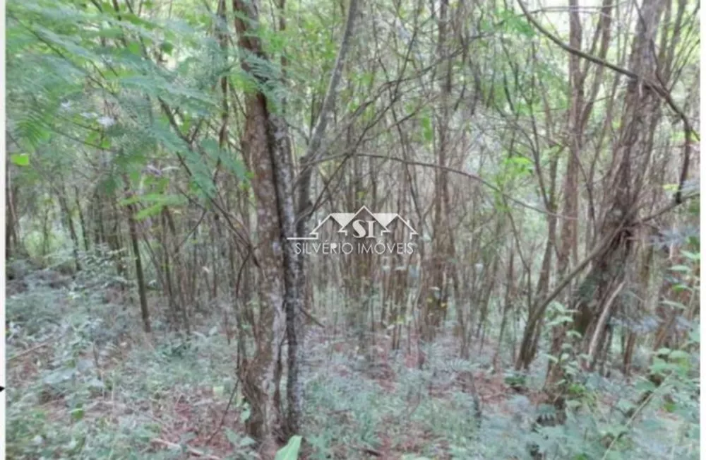 Terreno, 2 hectares - Foto 4