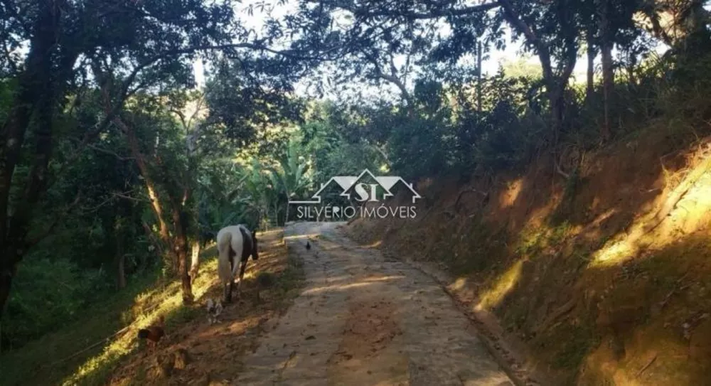 Sítio, 4 quartos, 5 hectares - Foto 18