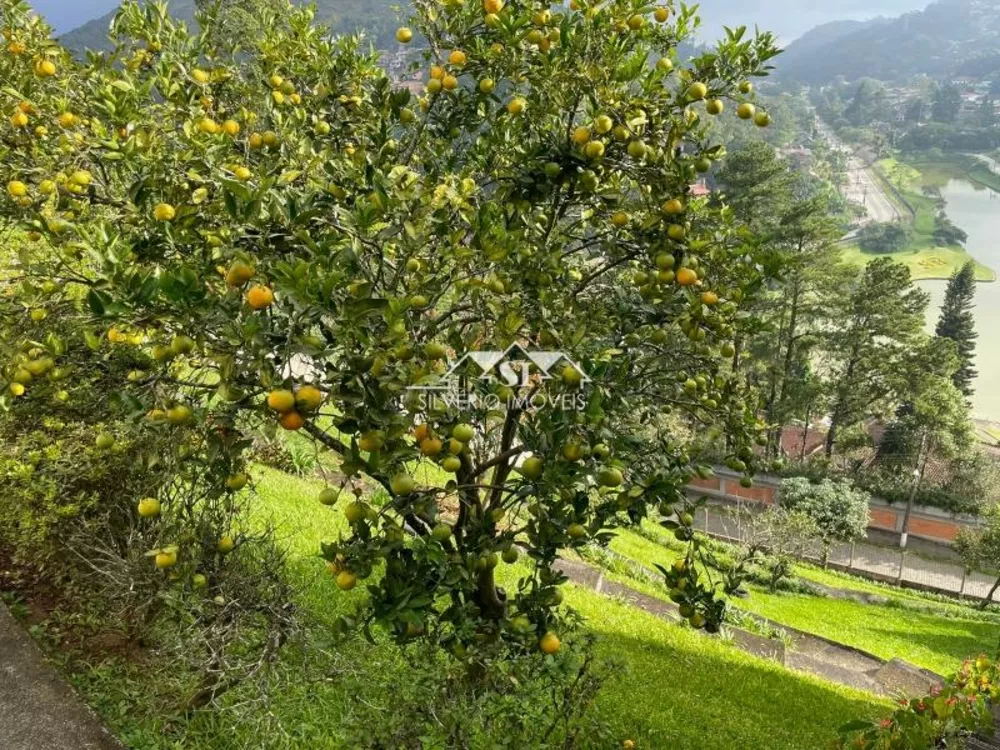 Casa, 5 quartos, 520 m² - Foto 16