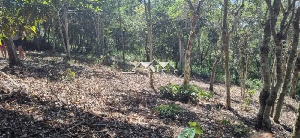 Terreno, 900 m² - Foto 4