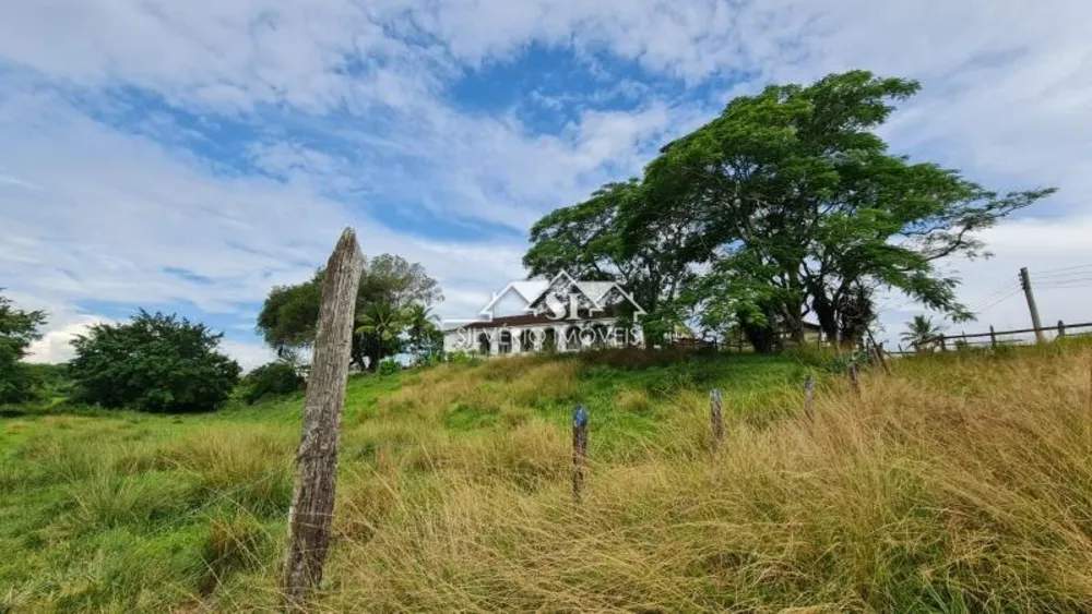 Fazenda, 45 hectares - Foto 9