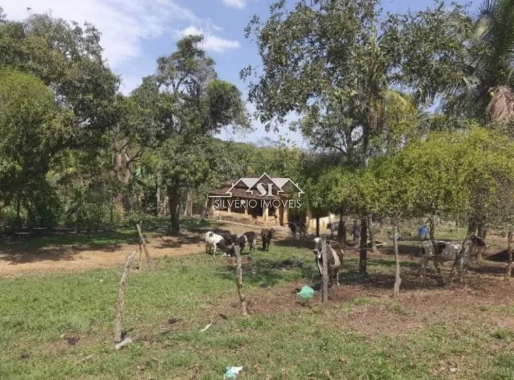 Fazenda, 6 hectares - Foto 1