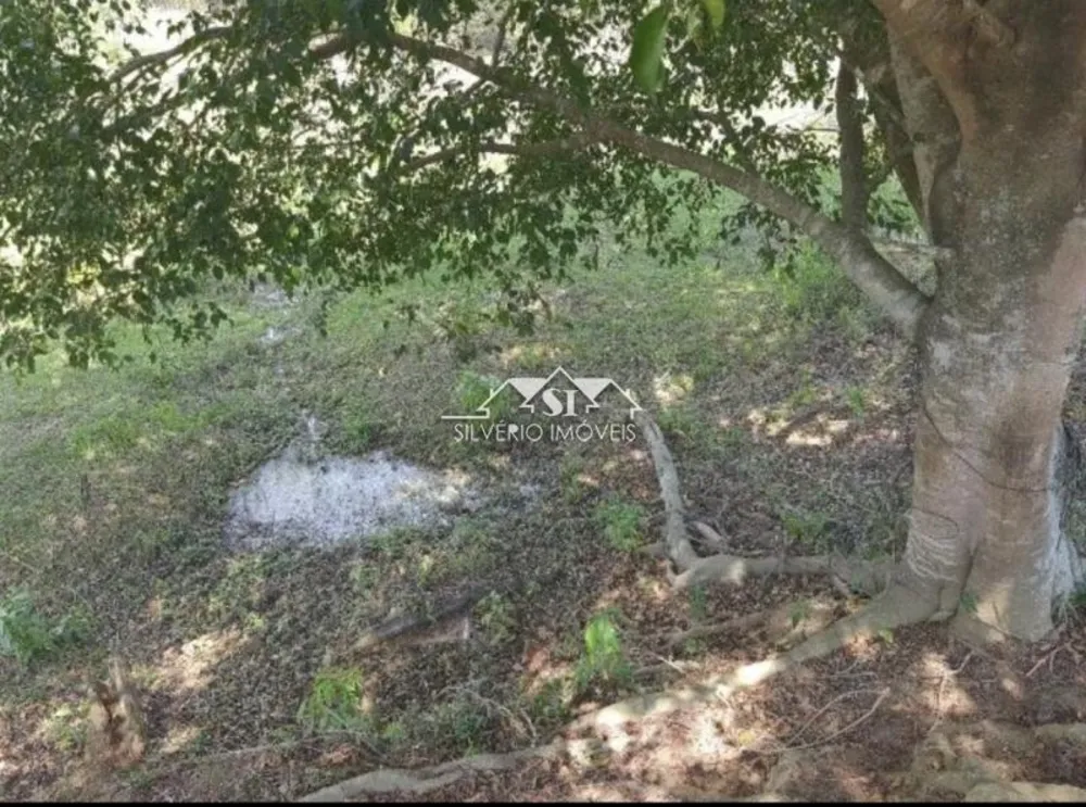 Fazenda, 6 hectares - Foto 2