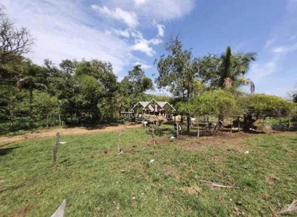 Fazenda, 6 hectares - Foto 7