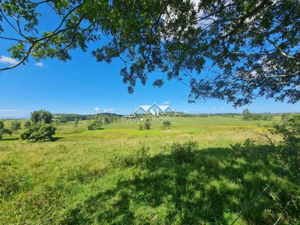 Fazenda, 252 hectares - Foto 26