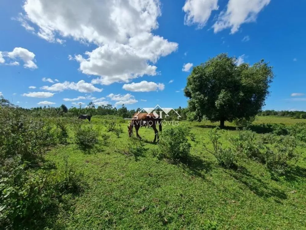 Fazenda, 252 hectares - Foto 21