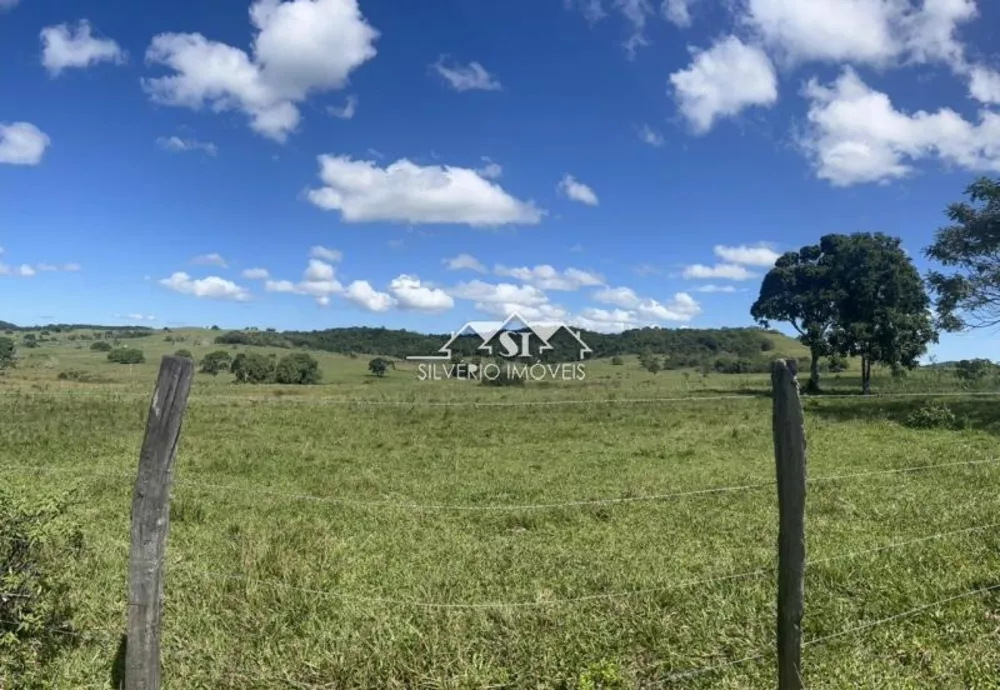 Fazenda, 252 hectares - Foto 40