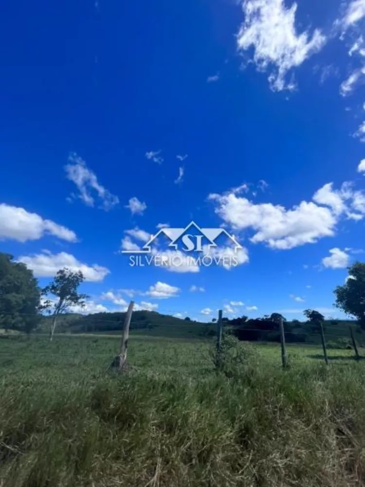 Fazenda, 252 hectares - Foto 38