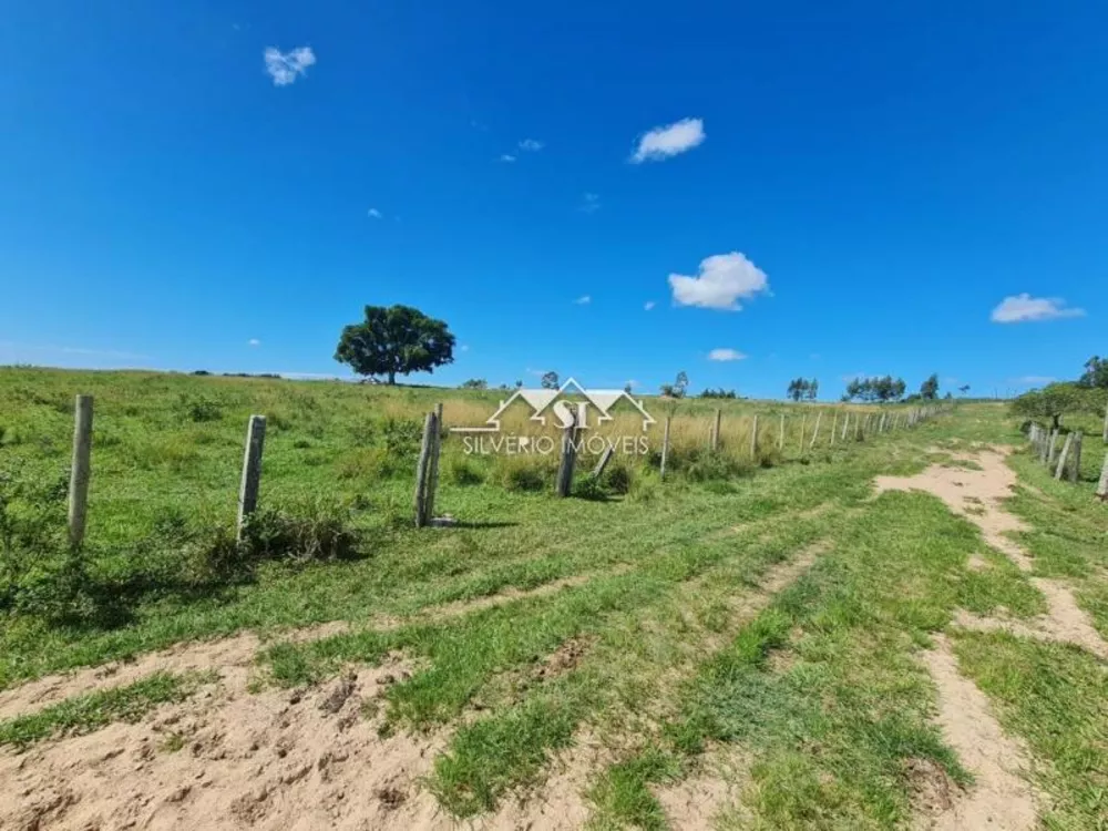Fazenda, 252 hectares - Foto 23
