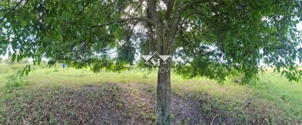 Fazenda, 252 hectares - Foto 20