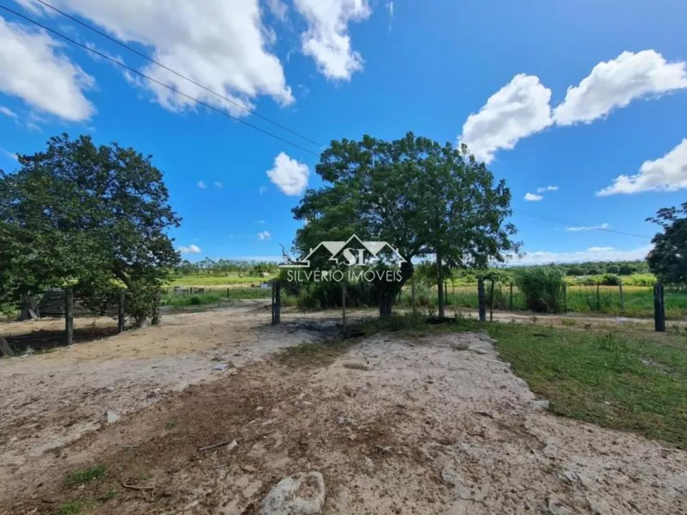 Fazenda, 252 hectares - Foto 19