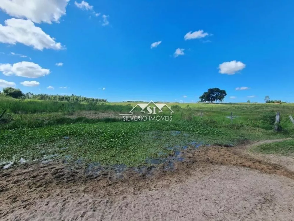 Fazenda, 252 hectares - Foto 18