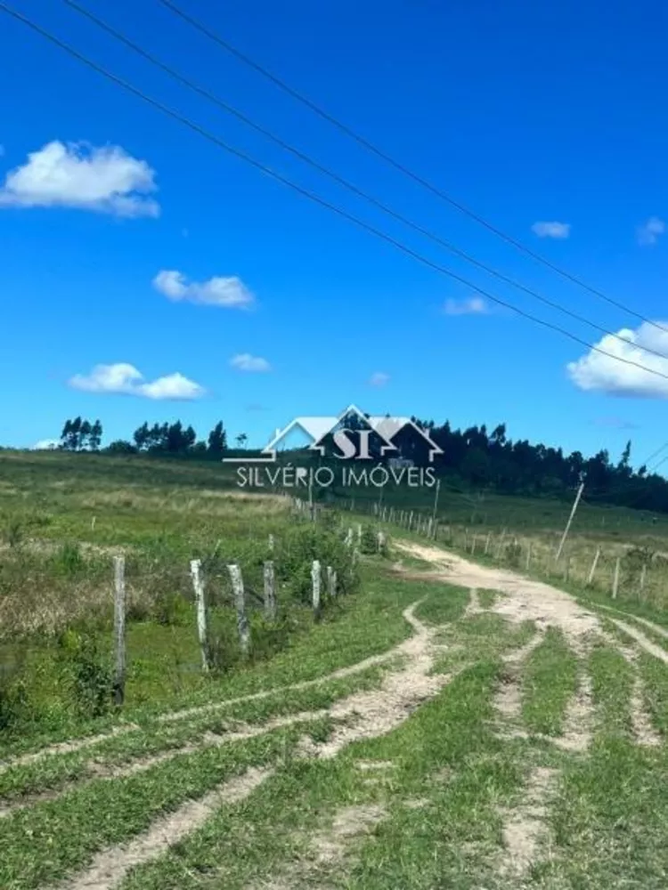 Fazenda, 252 hectares - Foto 4