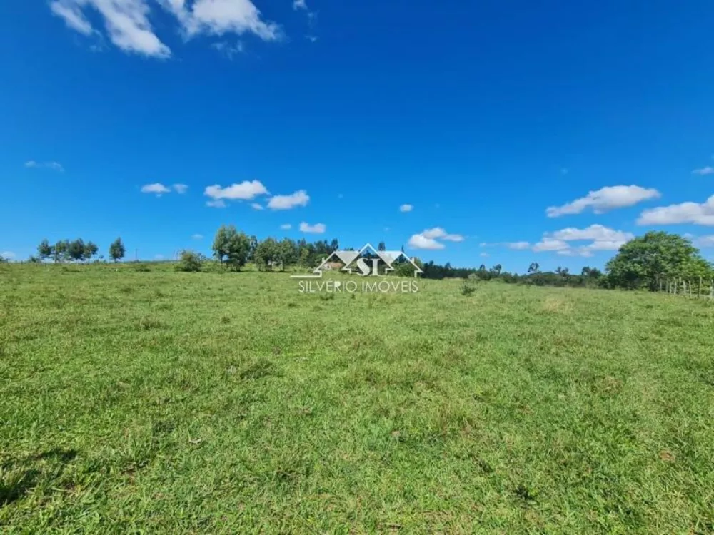 Fazenda, 252 hectares - Foto 25