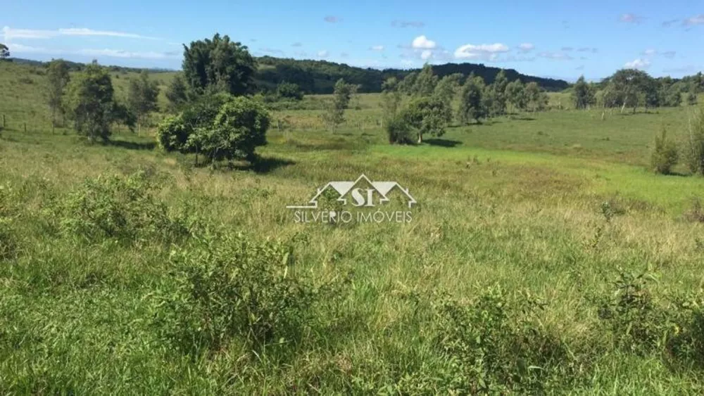 Fazenda, 252 hectares - Foto 43