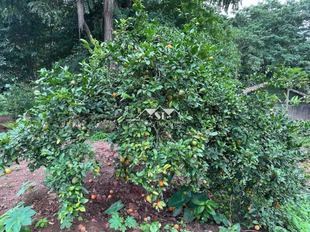 Terreno, 2070 m² - Foto 10