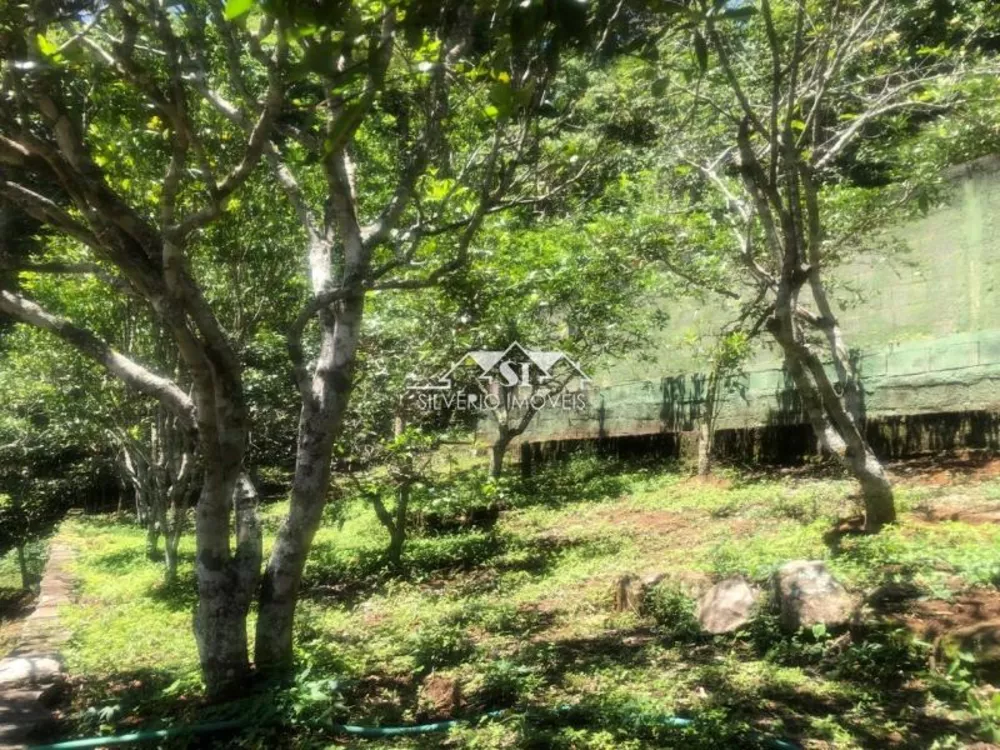 Casa, 3 quartos, 256 m² - Foto 30