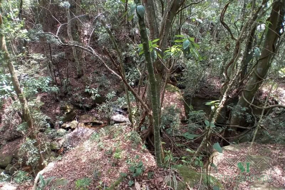 Sítio, 3 quartos, 2 hectares - Foto 18