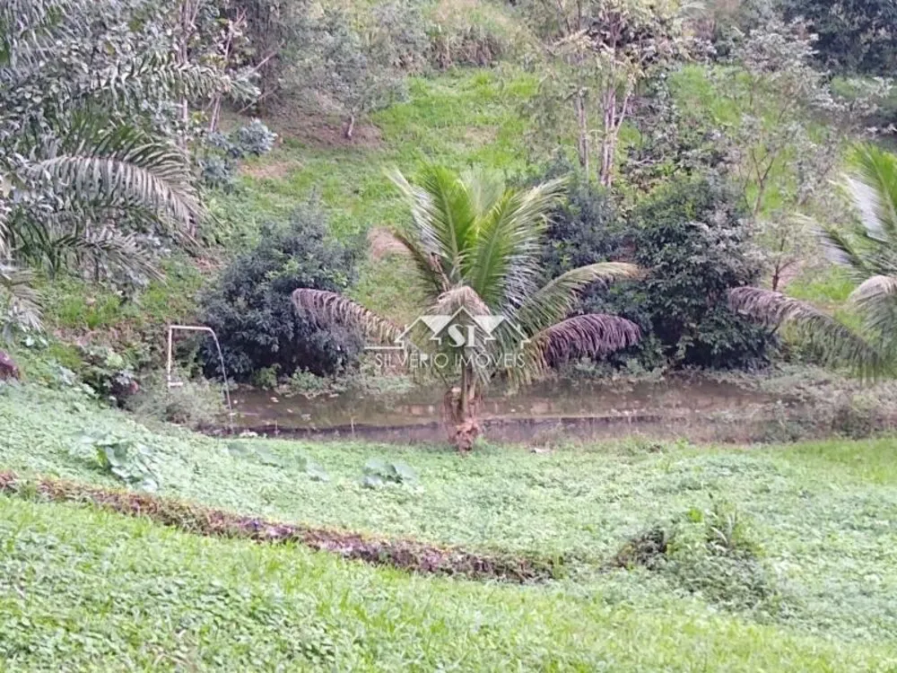 Fazenda, 3 hectares - Foto 14