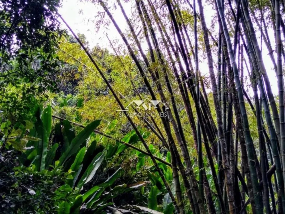 Fazenda, 3 hectares - Foto 7