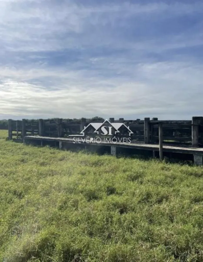 Fazenda, 210 hectares - Foto 12